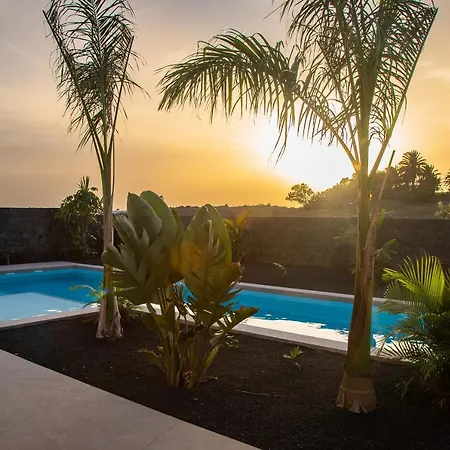 Macan * Teguise (Lanzarote)